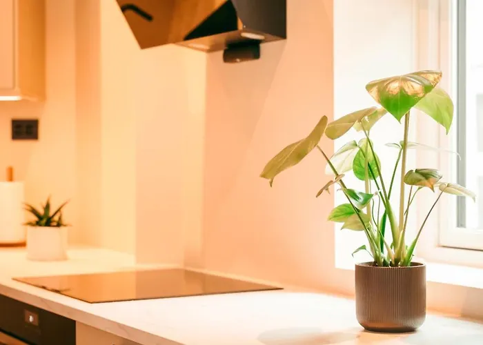 Celestial Apartament *